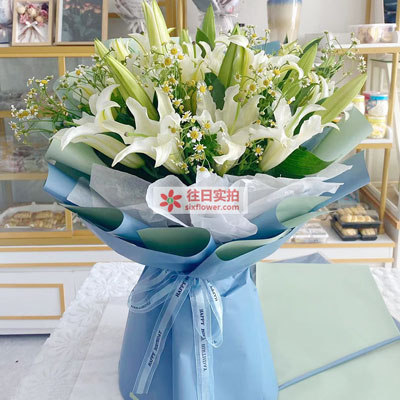 达州8支白色多头百合洋甘菊，互倾的思念