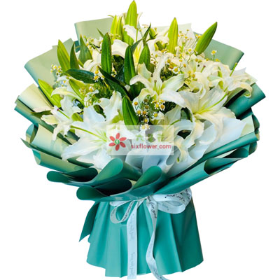 达州8支白色多头百合洋甘菊，如潮的思念